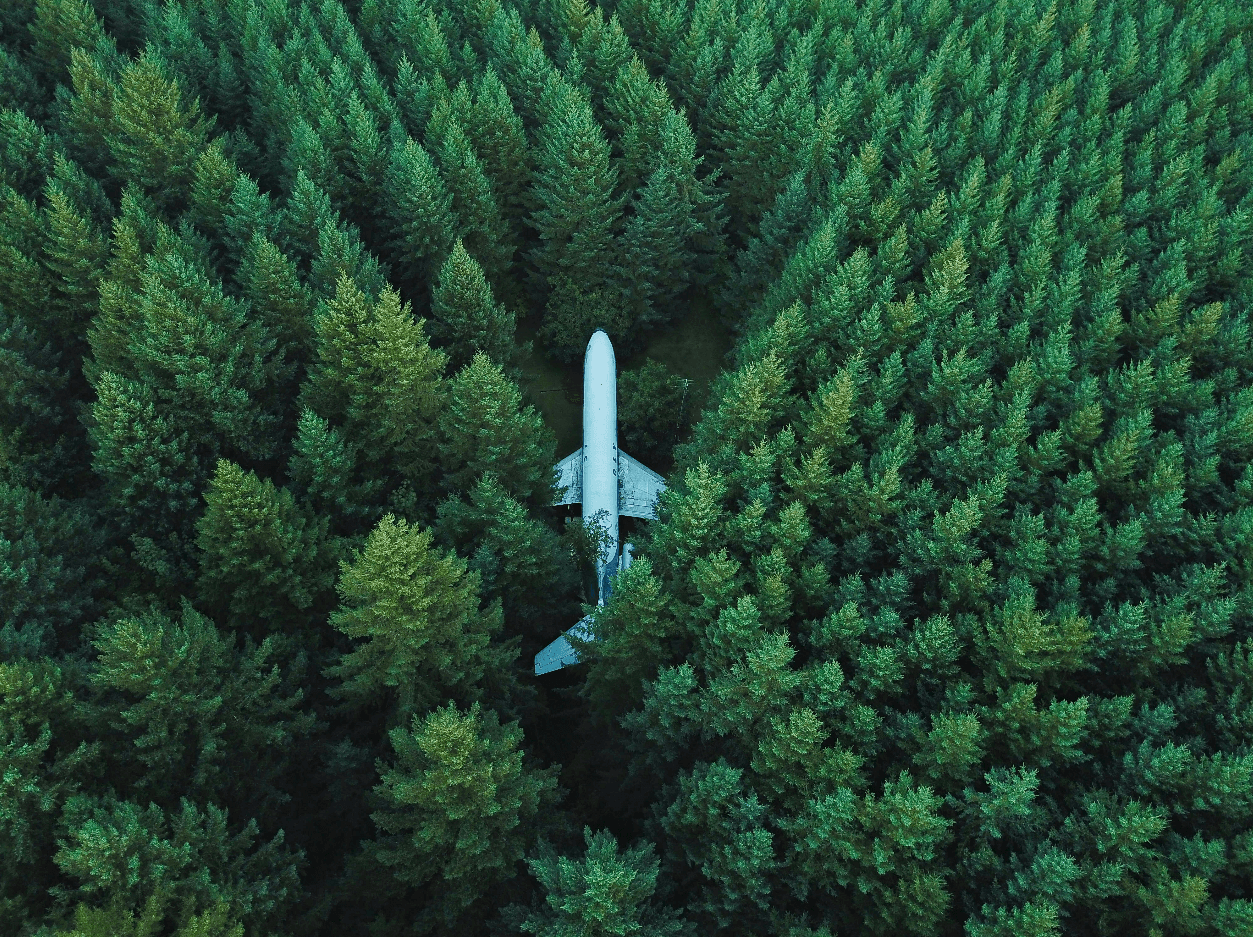 Arte Fotográfico Inspirado en la Naturaleza