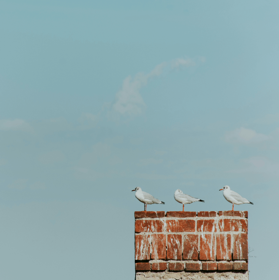 Ternura en el Horizonte