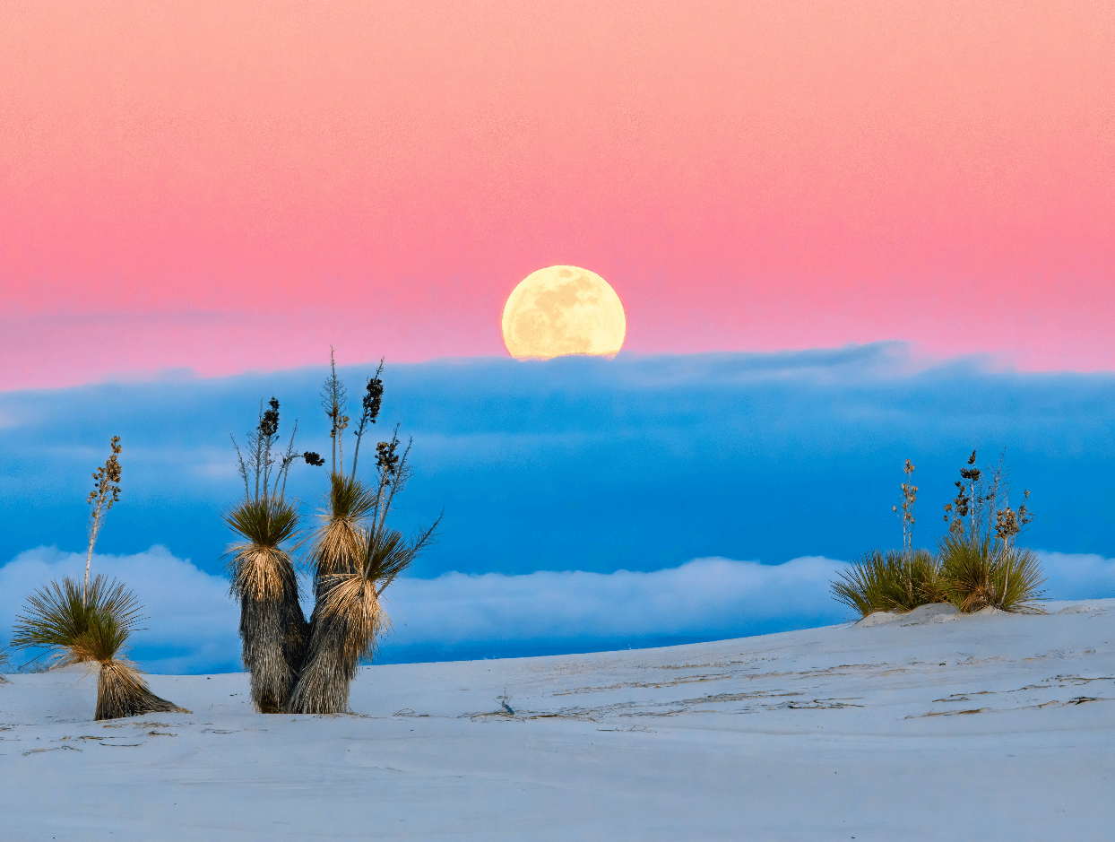 Paisajes Desérticos al Atardecer