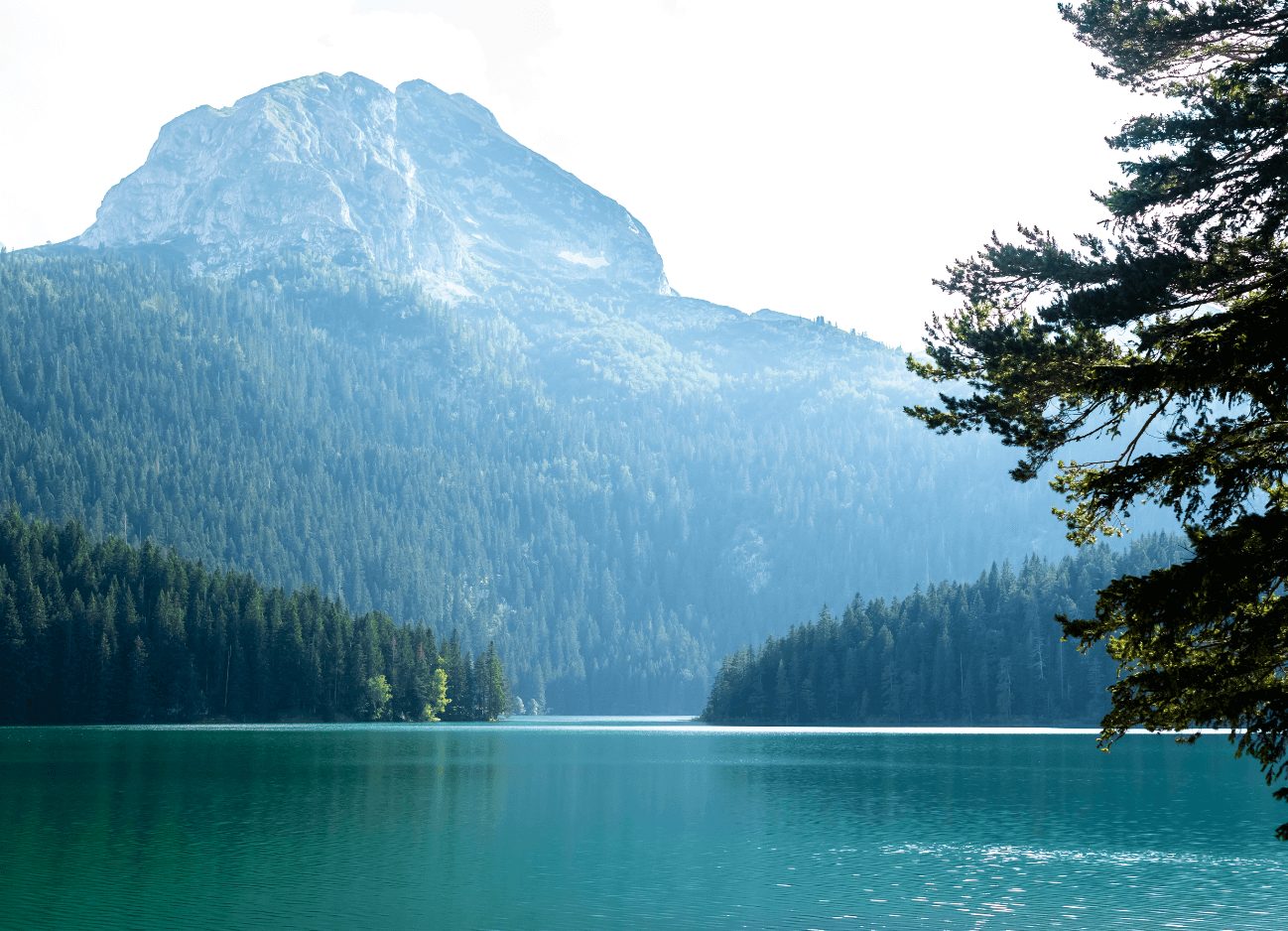 Lago de Montaña en Bosque Denso